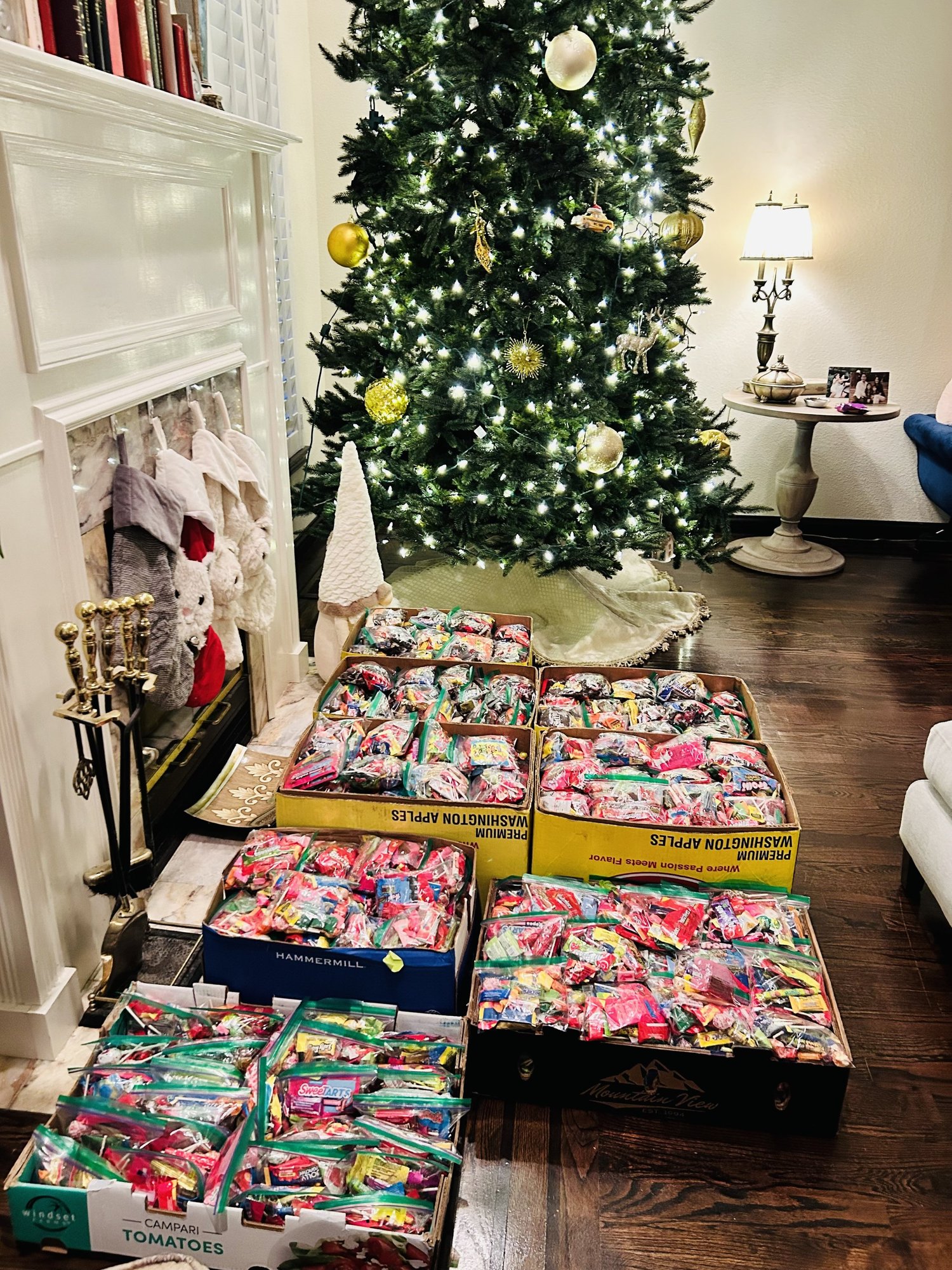 Halloween candy sorting event — photo 6